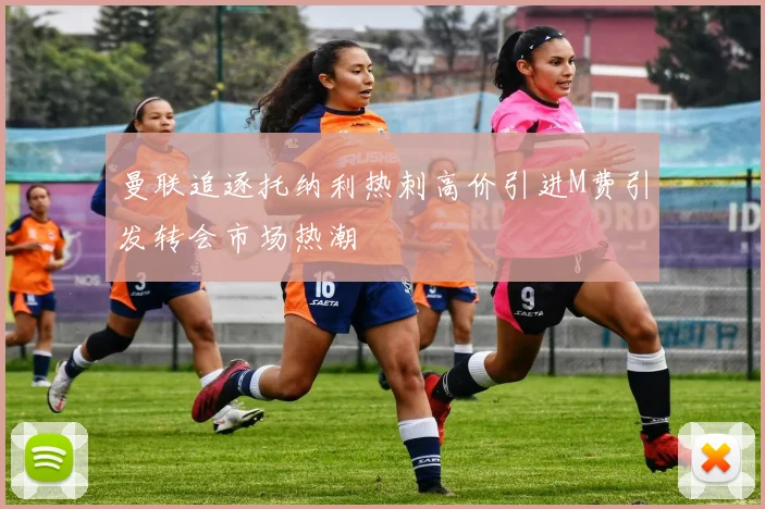 曼联追逐托纳利热刺高价引进M费引发转会市场热潮